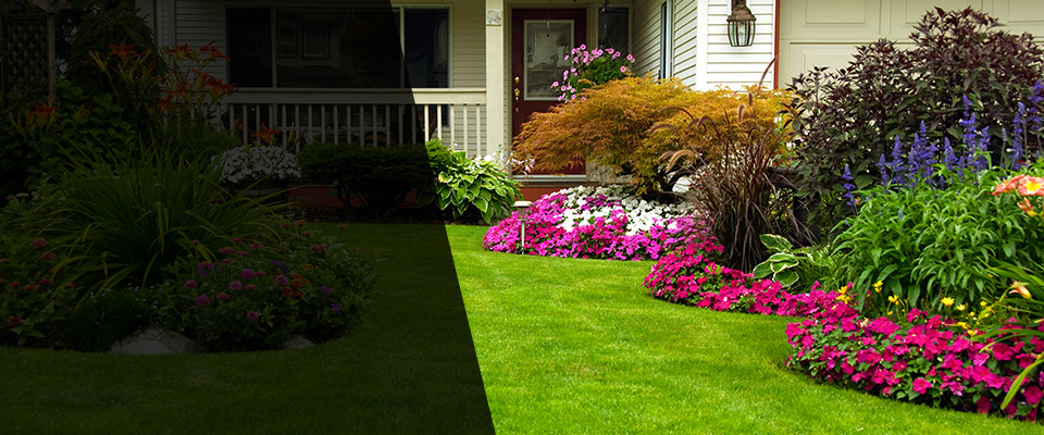 Catawissa Landscapers