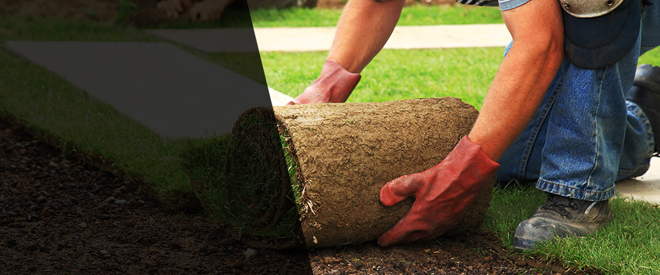 Catawissa Landscapers